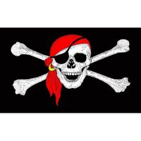 Red Bandana Pirate Flag