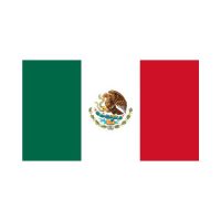 Mexico 3×5 Flag