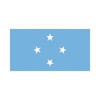 Micronesia 3×5 Flag