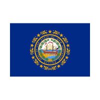 New Hampshire State 3×5 flag