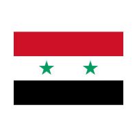 Syria 3×5 Flag