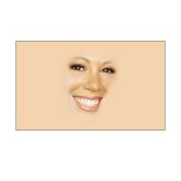 Mariah Carey Meme 3×5 Flag