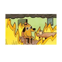 This is Fine Meme 3×5 Flag